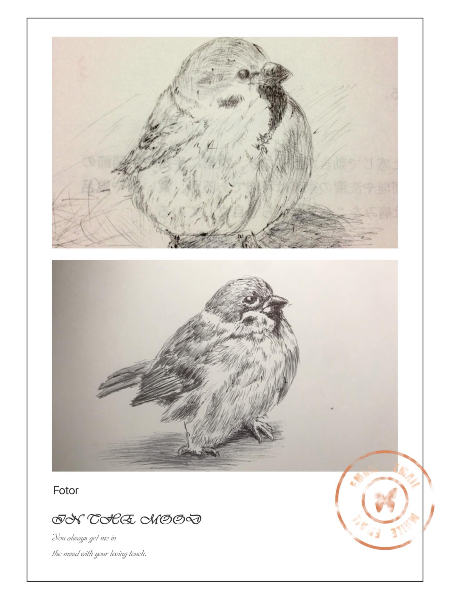 成長の証🐣🐥🐤🐔
⁡
 #ボールペン画