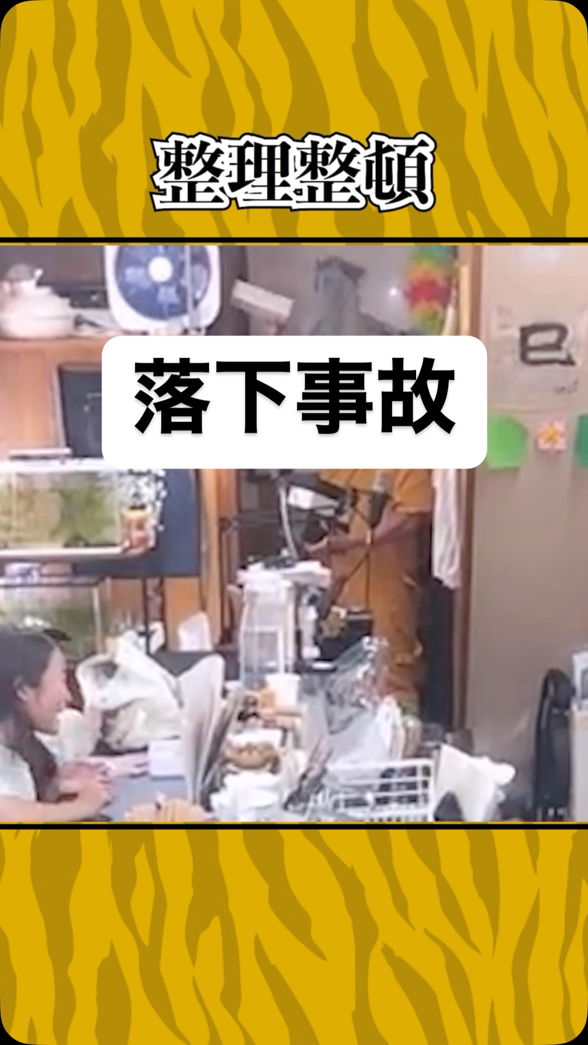 びっくり
#虎吉 #こども食堂
