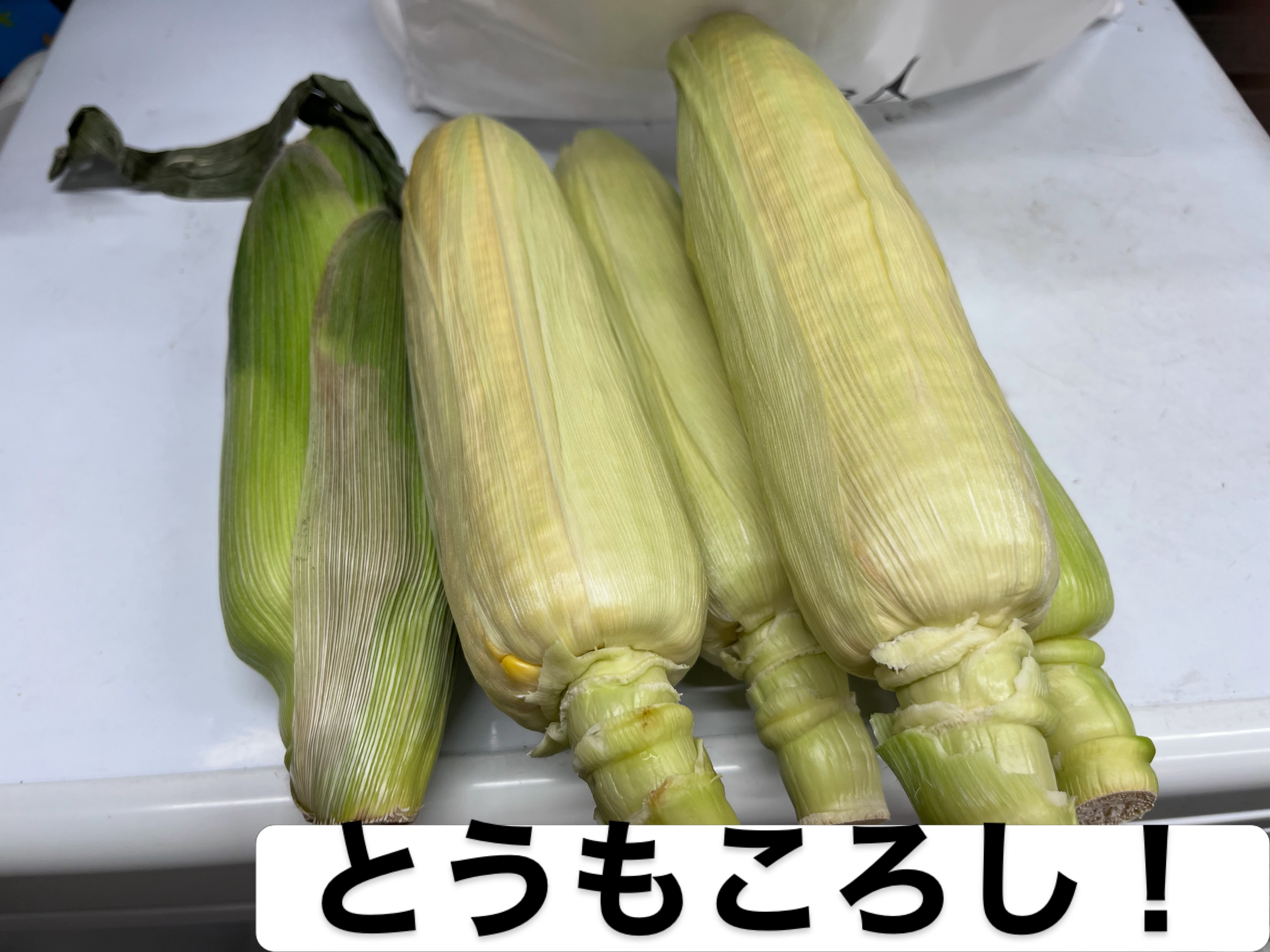 先日。
⁡
ご近所のマダムがトウモロコシをたくさん差し入れてくださいました🌽
⁡
ありがとうございます😭
⁡
このマダムはたまにこうして「食べきれないから」と野菜などを差し入れてくださいます。
⁡
ご近所のづきあいはわりと得意な方なんだけれども、うまくいかないこともたくさんあるのが人生です。
⁡
自分が努力してもどうしようもないことはあります。

悪いとこばっかりみても何もいいことがないので、その分、好意的にみてくれる人たちだけを僕は大切にしていきたいと思います。
⁡
 #こども食堂 #虎吉

⁡