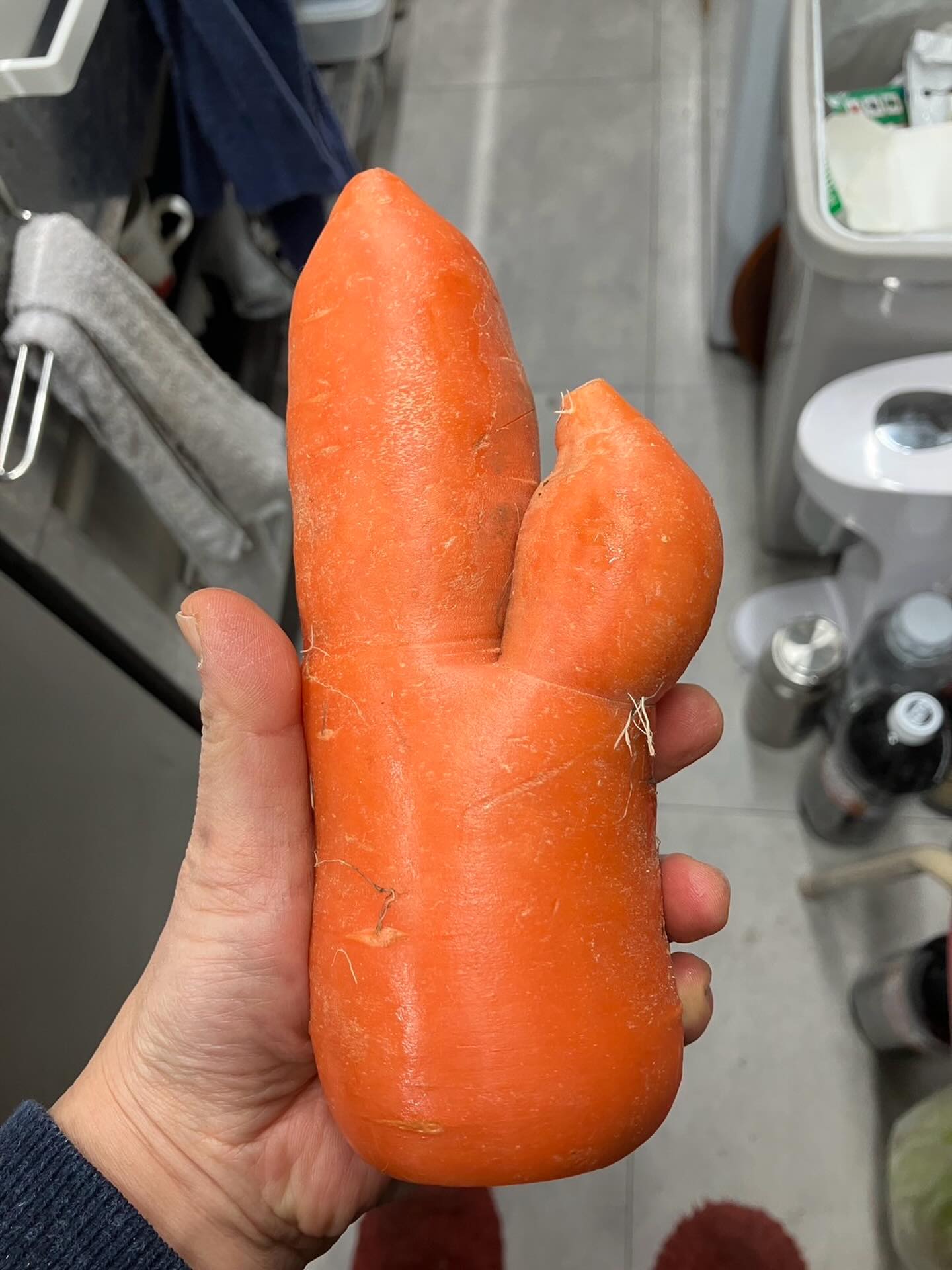 あなたには何が見えますか？