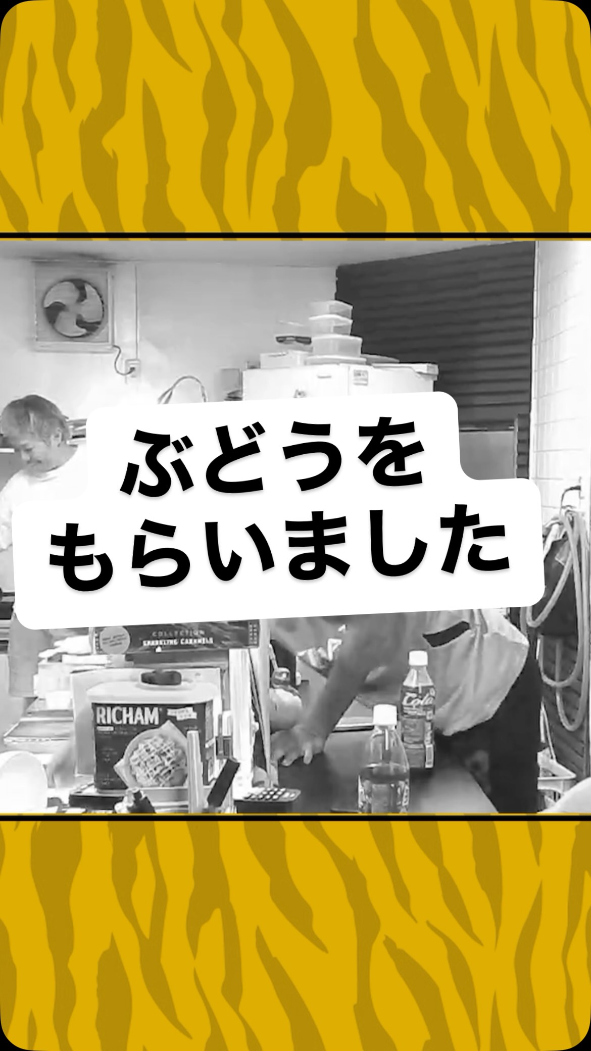 ちゃんとお礼を言える人間になってください
⁡
#こども食堂 #虎吉