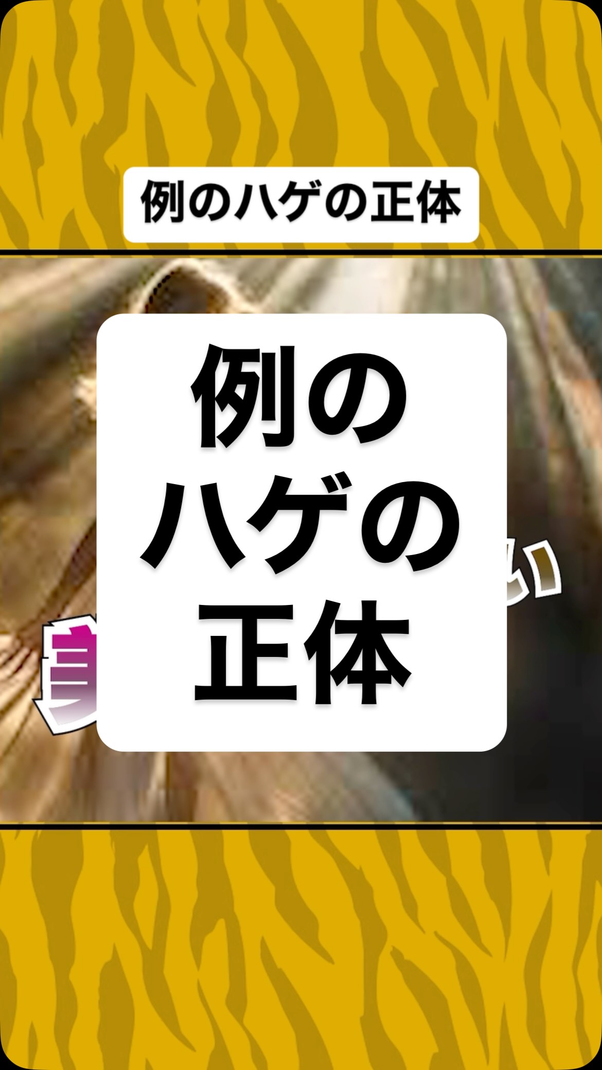 ストーリーからフルバージョンをごらんください♡
#虎吉 #こども食堂